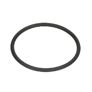 Zaptivka, termostat ELRING EL382550 IC-G0RA20