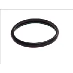 Zaptivka, termostat ELRING EL447260 IC-391157