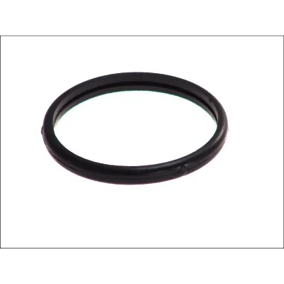 Zaptivka, termostat ELRING EL447260 IC-391157