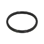 Zaptivka, termostat ELRING EL460790 IC-G0TB55