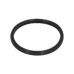 Zaptivka, termostat ELRING EL460790 IC-G0TB55