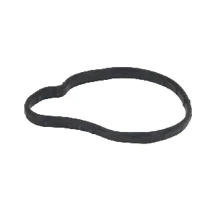 Zaptivka, termostat ELRING EL650000 IC-F8CC28