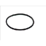 Zaptivka, termostat ELRING EL703087 IC-225908