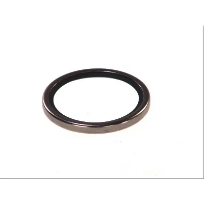 Zaptivka, termostat ELRING EL754854 IC-B088F3