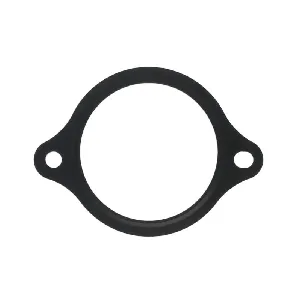 Zaptivka, termostat ELRING EL876140 IC-F8CC23