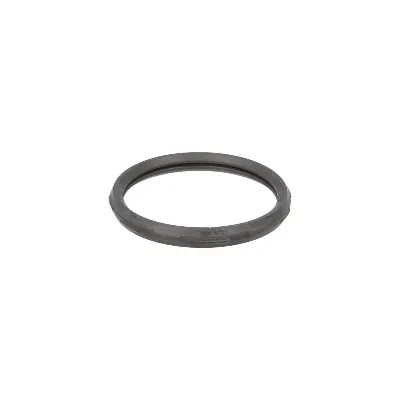 Zaptivka, termostat EPS 1 890 722 IC-DA7A3F