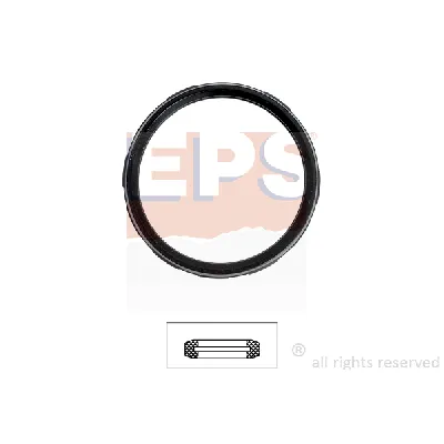 Zaptivka, termostat EPS 1 890 722 IC-DA7A3F
