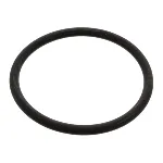 Zaptivka, termostat FEBI FE17966 IC-A97BD0