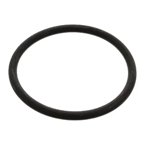 Zaptivka, termostat FEBI FE17966 IC-A97BD0