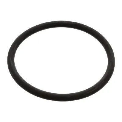Zaptivka, termostat FEBI FE17966 IC-A97BD0