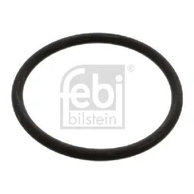 Zaptivka, termostat FEBI FE17966 IC-A97BD0