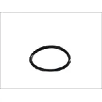 Zaptivka, termostat HANS PRIES HP100 618 IC-323598