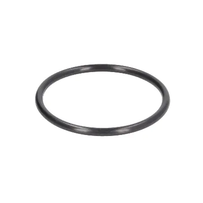 Zaptivka, termostat HANS PRIES HP117 329 IC-E4CD0E