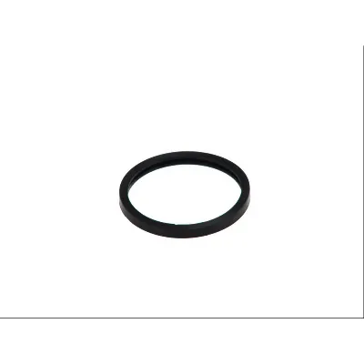 Zaptivka, termostat HANS PRIES HP202 324 IC-307328