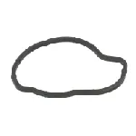 Zaptivka, termostat HANS PRIES HP205 945 IC-A78293