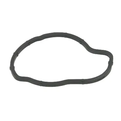 Zaptivka, termostat HANS PRIES HP205 945 IC-A78293