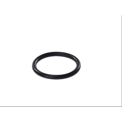 Zaptivka, termostat HANS PRIES HP207 484 IC-BEDE7B