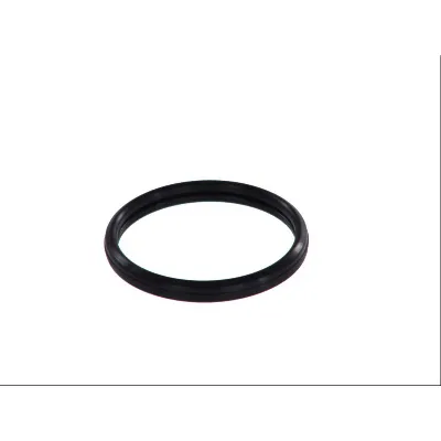Zaptivka, termostat HANS PRIES HP302 262 IC-AE7FC7