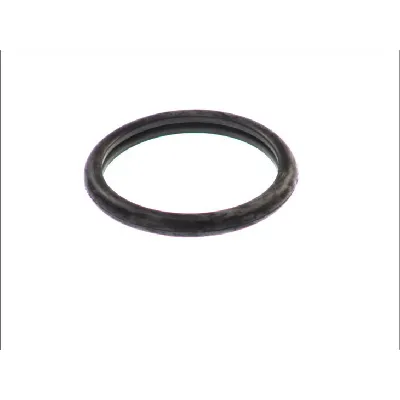 Zaptivka, termostat REINZ 70-27837-00 IC-B3029F