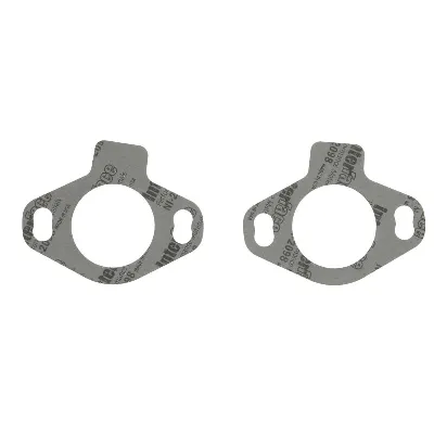 Zaptivka, termostat SIERRA 18-2554-9 IC-F8B14D