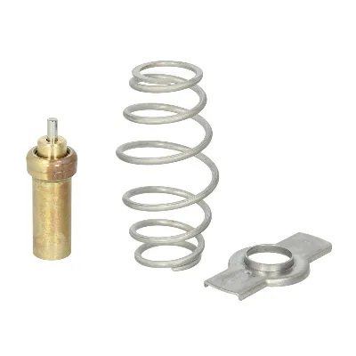 Zaptivka, termostat THERMOTEC D2IV006TT IC-D3299D
