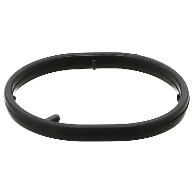 Zaptivka, uljni hladnjak ELRING EL249070 IC-G04S2P