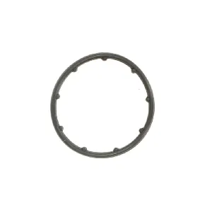 Zaptivka, uljni hladnjak ELRING EL649830 IC-G04S2Q