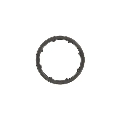 Zaptivka, uljni hladnjak ELRING EL693940 IC-E34B74
