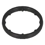 Zaptivka, uljni hladnjak ELRING EL693940 IC-E34B74