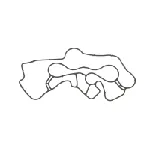 Zaptivka, uljni hladnjak ELRING EL794600 IC-E51E85