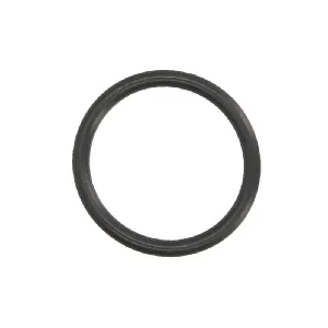 Zaptivka, usisna grana AJUSA AJU16021500 IC-F8BD7C