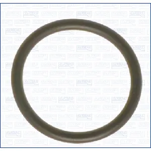 Zaptivka, usisna grana AJUSA AJU16022400 IC-G0LUY8