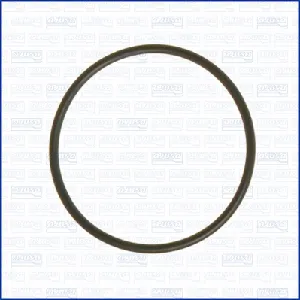 Zaptivka, usisna grana AJUSA AJU16057900 IC-G0LUZY