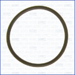 Zaptivka, usisna grana AJUSA AJU16073300 IC-G0LV0O