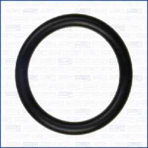 Zaptivka, usisna grana AJUSA AJU16091100 IC-G04EP4