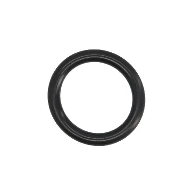 Zaptivka, usisna grana ELRING EL389121 IC-G0L71H