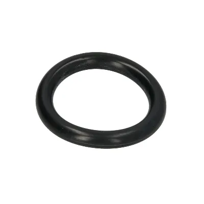 Zaptivka, usisna grana ELRING EL389121 IC-G0L71H