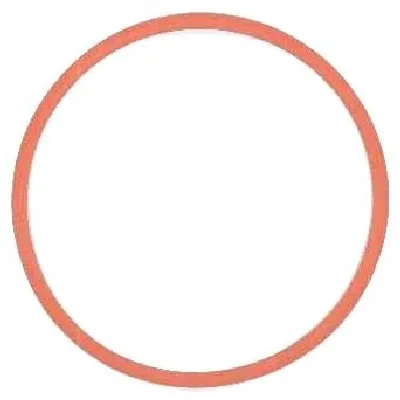 Zaptivka, usisna grana ELRING EL570516 IC-251324