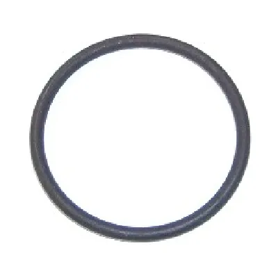 Zaptivka, usisna grana ELRING EL725400 IC-BEE3C9