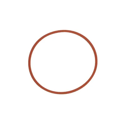 Zaptivka, usisna grana ELRING EL870780 IC-F8CB8E