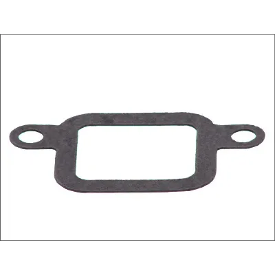 Zaptivka, usisna grana LEMA LE21309.00 IC-A0781D