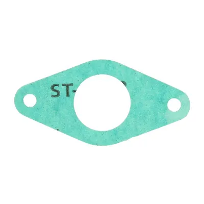 Zaptivka, usisna grana PARSUN F15-07000017 IC-G051VY