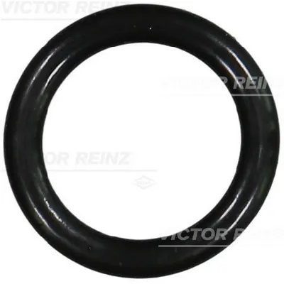 Zaptivka, usisna grana REINZ 40-76240-00 IC-B2F96B