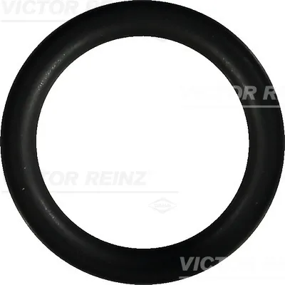 Zaptivka, usisna grana REINZ 40-76246-00 IC-B2F984