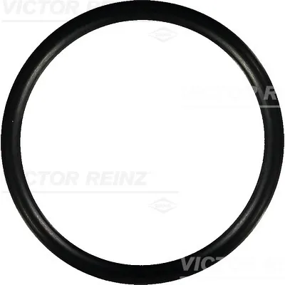 Zaptivka, usisna grana REINZ 40-76752-00 IC-B2F9A3