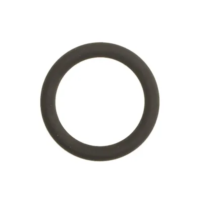 Zaptivka, usisna grana REINZ 40-76919-00 IC-DA90ED