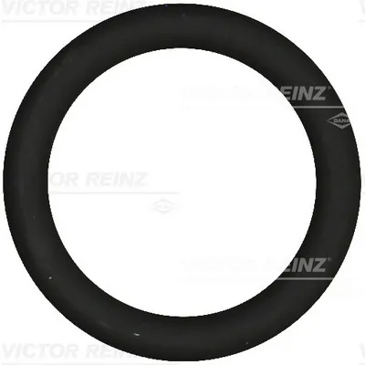 Zaptivka, usisna grana REINZ 40-76919-00 IC-DA90ED