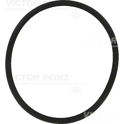Zaptivka, usisna grana REINZ 40-77557-00 IC-B2F5FE
