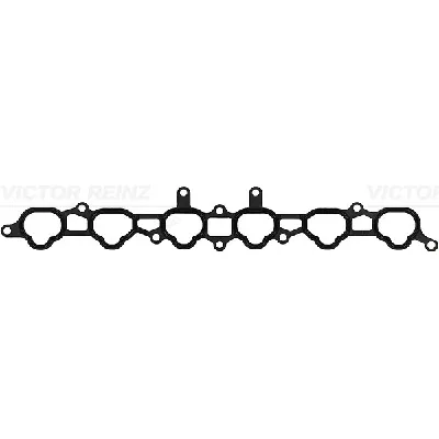 Zaptivka, usisna grana REINZ 71-10120-00 IC-D7FB59