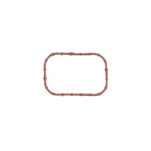 Zaptivka, usisna grana REINZ 71-11084-00 IC-F5FD25